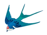 1615517777683031689.png 图片2.png