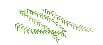 1615517798010031449.png 图片3.png